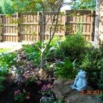 close up of garden with frog statue