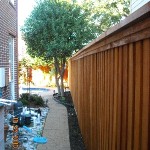 Walkway Designed around Tree