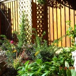 Close up of Flower Bed with Statue and Trellis