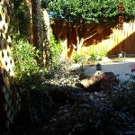 Close up of Flower Bed with Statue and Trellis