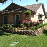 Flower Bed Garden wrapped around House in Front Yard. Beautiful Roses